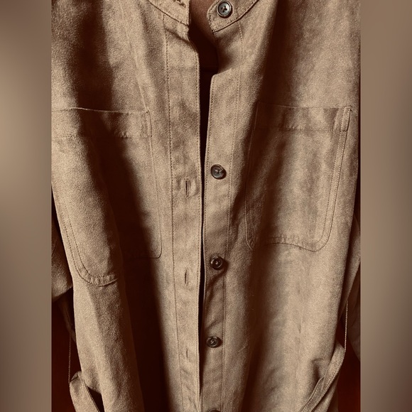 Banana Republic Vegan (Faux) Suede Shirt Dress - Picture 6 of 16
